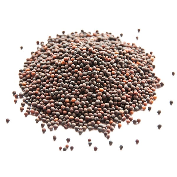 MUSTARD_d1d168e3-7540-4d8b-ad4a-e43d2ff8599e